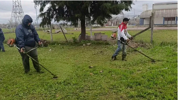26 tasa