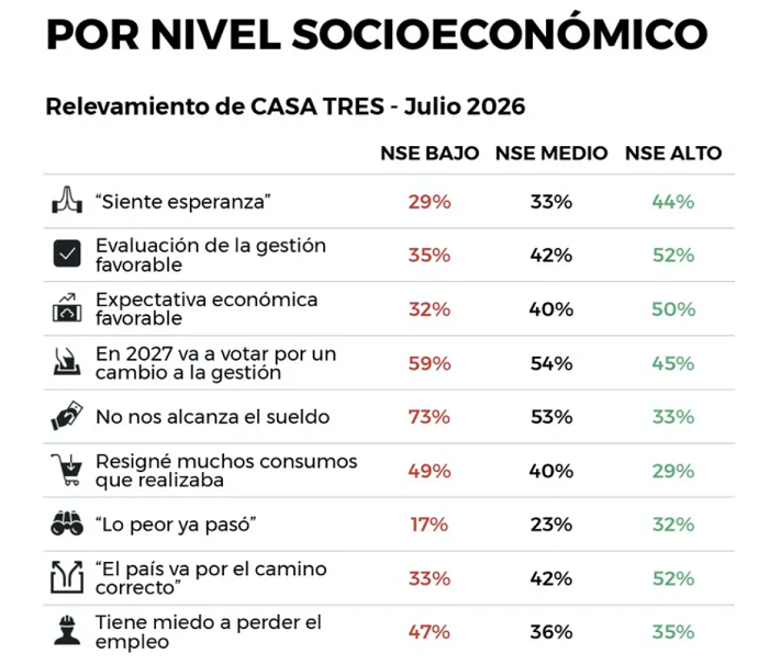 31 empleo