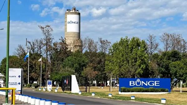 30 bunge