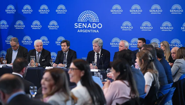 13 senado
